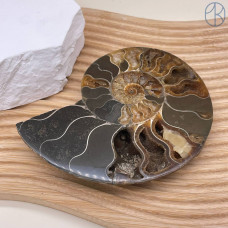 Аммонит ~ 12х11 см