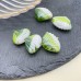 Бусина, ракушка бело-зеленая 15*20 мм