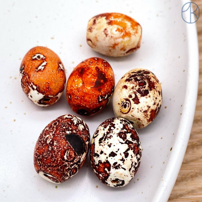 Дзи природные из агата №28 19х14 мм штучно