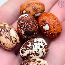 Дзи природные из агата №28 19х14 мм штучно