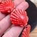 Керамика ракушка красная 31 мм штучно