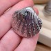 Кольцо сталь №184 цвет серебро 