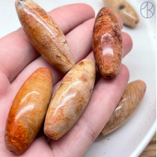 Коралл коричневый ~ 41х16 мм штучно