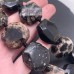 Коралл окаменелый многогранник ~ 22 мм