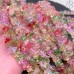 Крошка стекло микс 7-10 мм