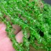 Крошка стекло зеленый 7-10 мм