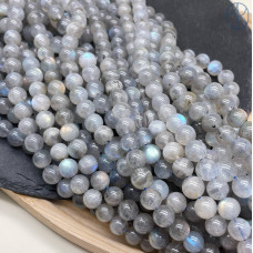 Лабрадор №4 8 мм