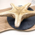 Морская звезда №1 ~ 30 см