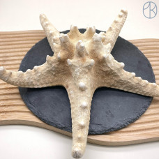 Морская звезда ~ 30 см