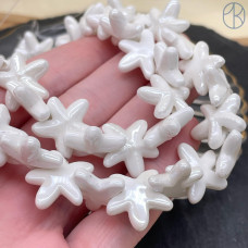 Морская звезда керамика, цвет белый 17 мм