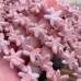 Морская звезда керамика, цвет розовый №1 17 мм