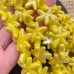 Морская звезда керамика, цвет желтый 17 мм
