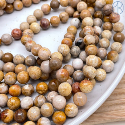 Окаменелый коралл Петоски 10 мм