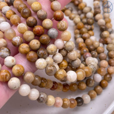 Окаменелый коралл Петоски 6 мм