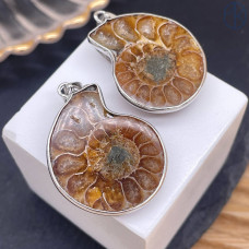 Подвеска аммонит, цвет серебро ~ 30 мм