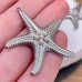 Подвеска морская звезда сталь 38 мм, цвет серебро