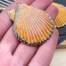 Подвеска Ракушка оранжевая, цвет серебро, 47 мм 