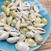 Ракушка Каури ~ 3 см 