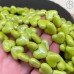 Сердце керамика, цвет зеленый 13 мм 