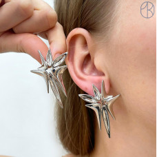 Швензы, цвет серебро 49х33 мм